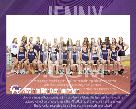 2023XCGroup