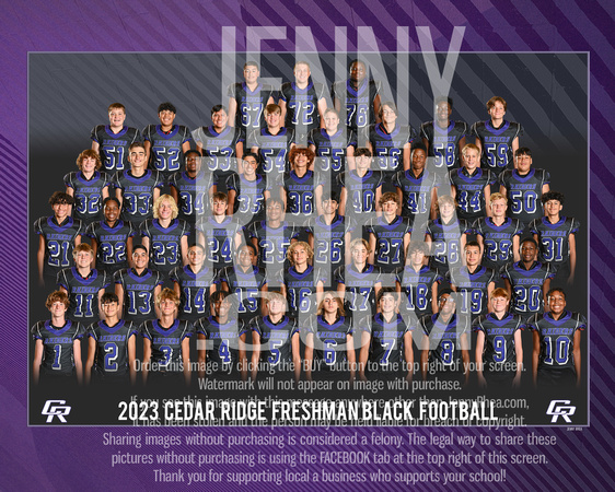 FreshmanBlackGroup
